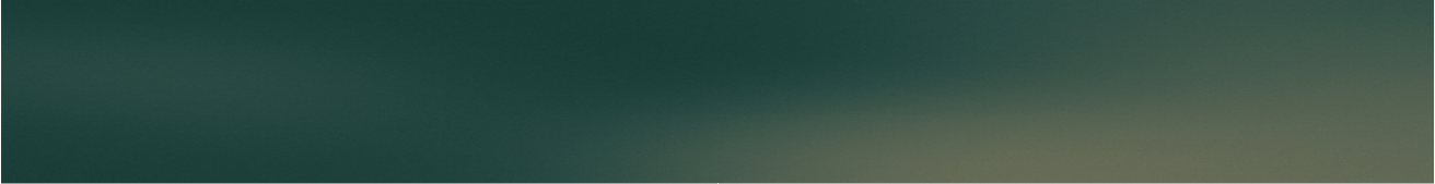 header text